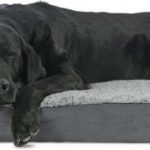 Furhaven Pet Dog Bed Ergonomic Contour Lounger Therapeutic Sofa Style Living